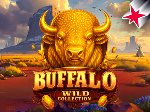 Buffalo Wild Collection